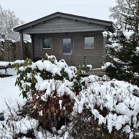 Drachtstercompagnie Chalet In Het Groen Met Airco מראה חיצוני תמונה